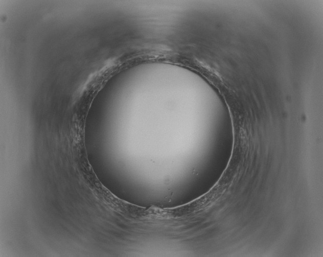 X0000063451447200601271527