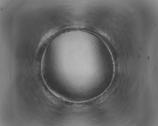 X0000063451448200601271527