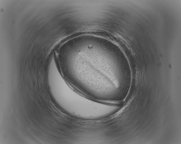 X0000063451449200601271527