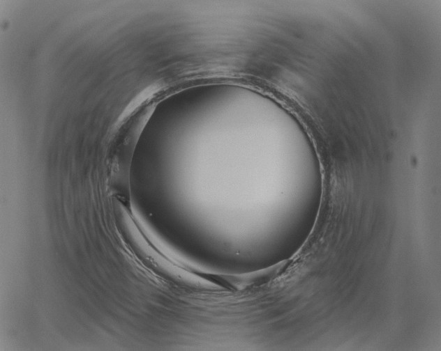 X0000063451450200601271527