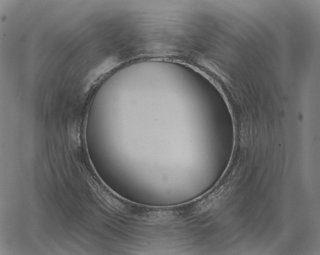 X0000063451451200601271527