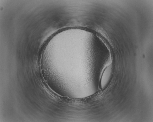 X0000063451452200601271527