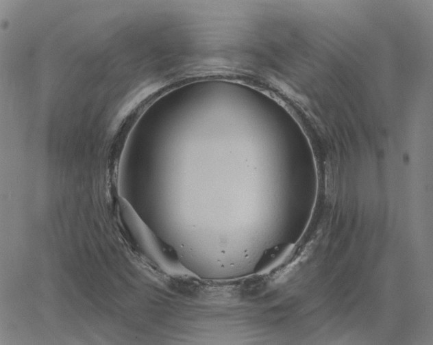 X0000063451453200601271527