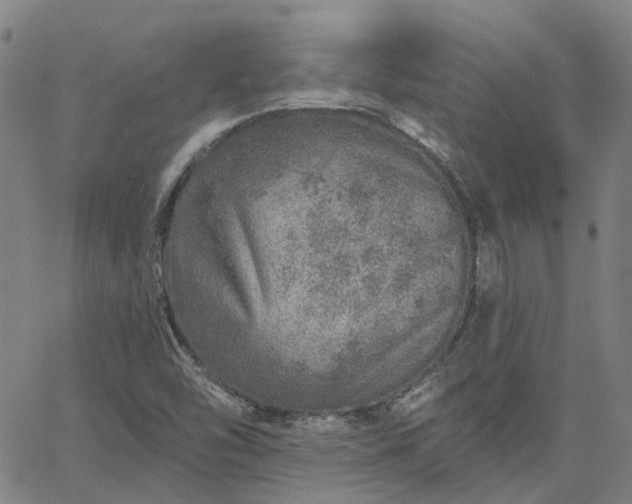 X0000063451454200601271527