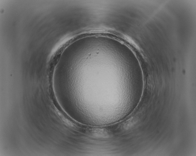 X0000063451456200601271527