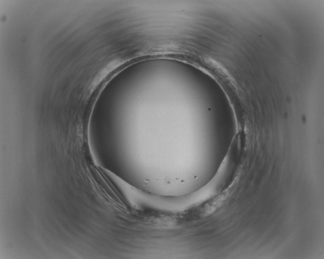 X0000063451457200601271527