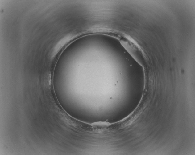 X0000063451461200601271527