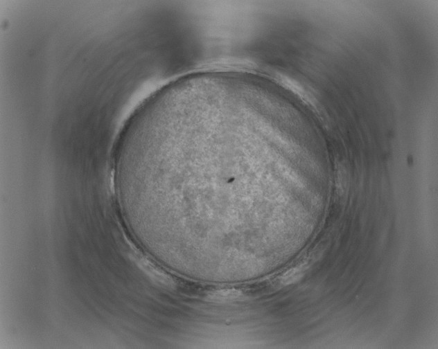 X0000063451462200601271527