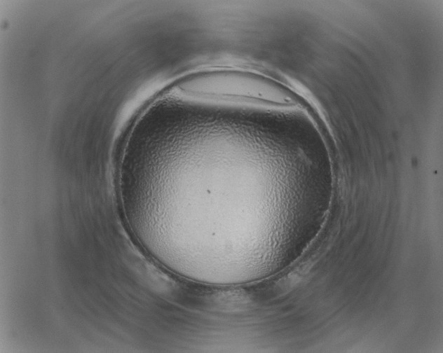 X0000063451464200601271527