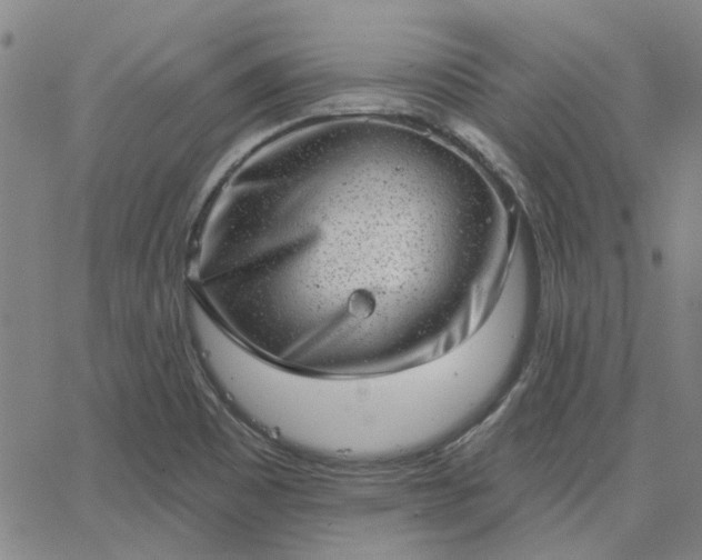 X0000063451465200601271527