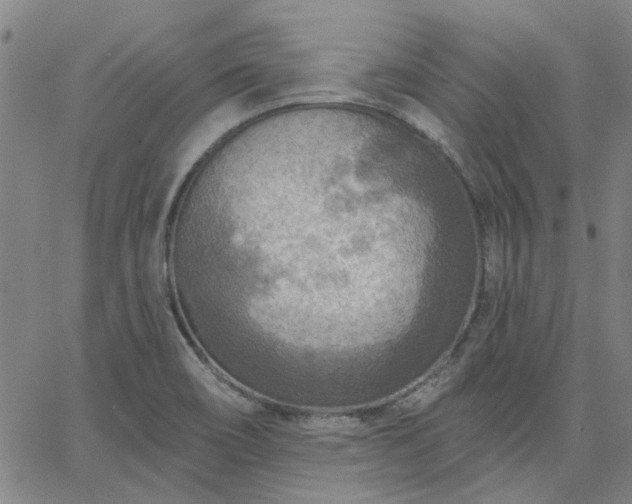 X0000063451466200601271527