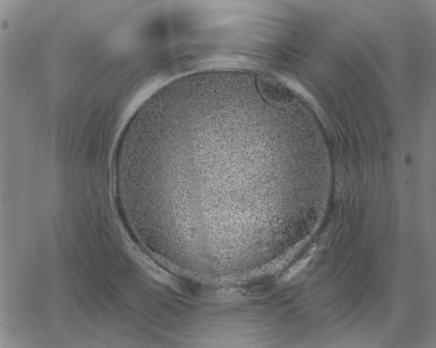 X0000063451467200601271527