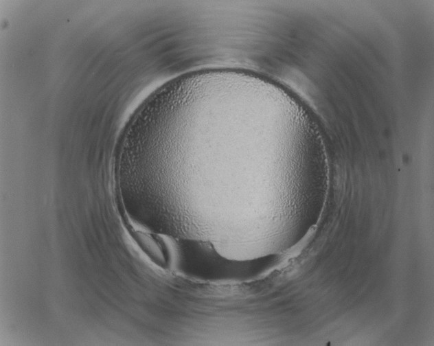 X0000063451468200601271527