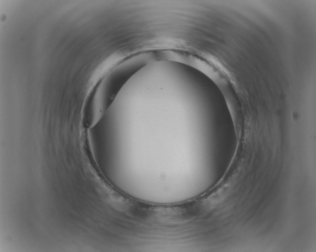 X0000063451469200601271527