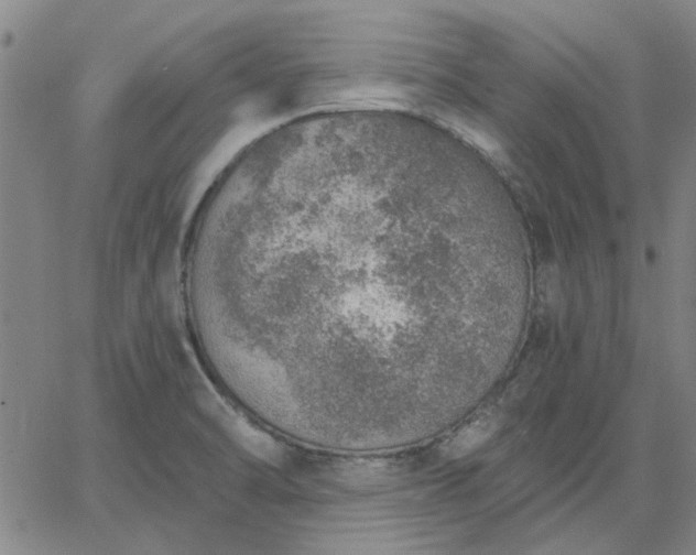 X0000063451470200601271527