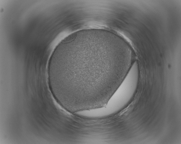 X0000063451471200601271527