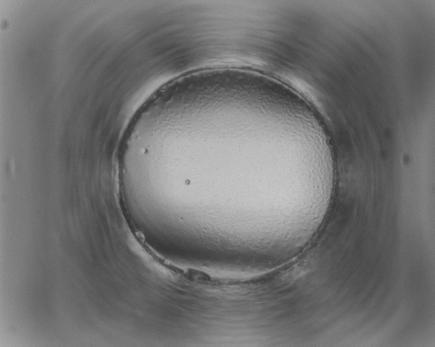 X0000063451476200601271527