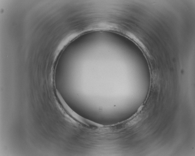 X0000063451477200601271527