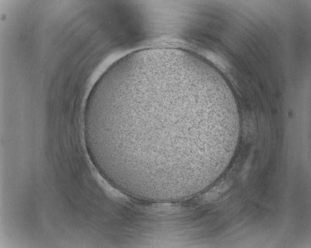 X0000063451478200601271527