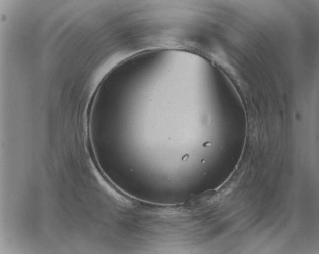 X0000063451479200601271527