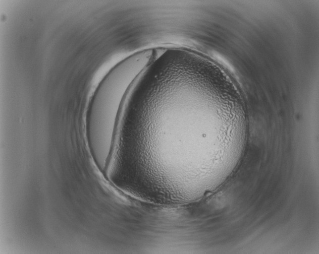 X0000063451480200601271526