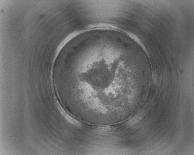 X0000063451482200601271526