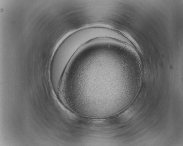 X0000063451484200601271526