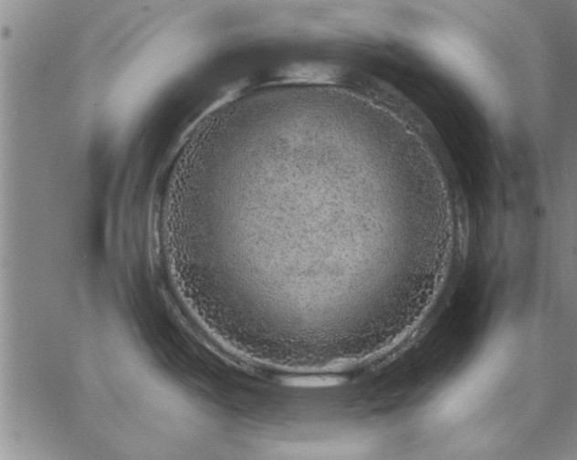 X0000063451487200601271526