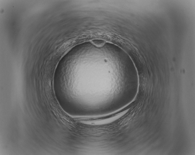 X0000063451489200601271526