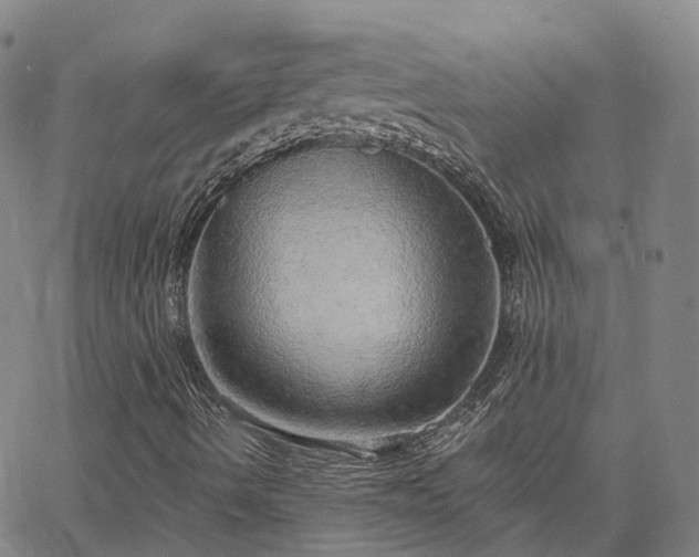 X0000063451490200601271526