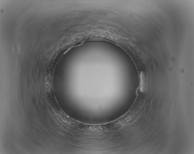 X0000063451491200601271526