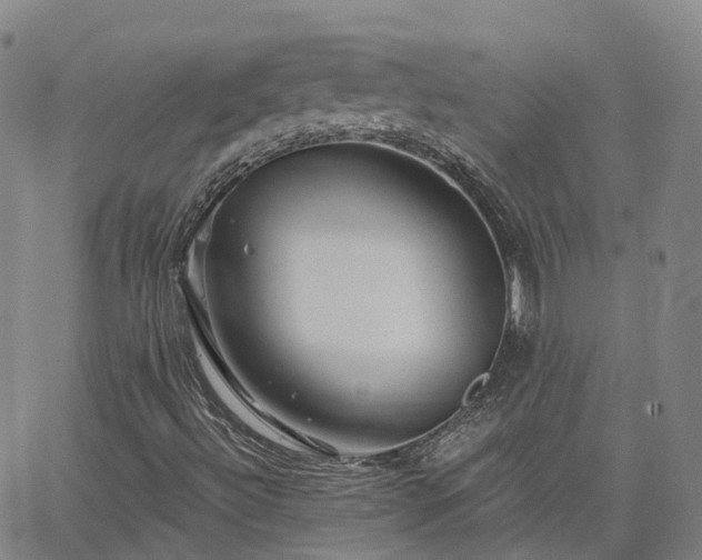 X0000063451492200601271526