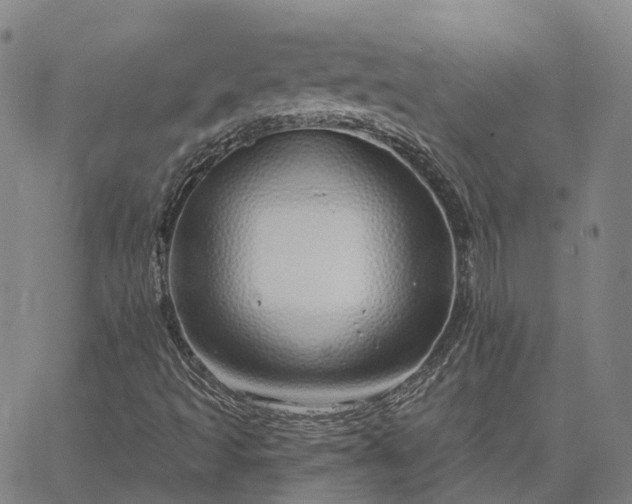 X0000063451493200601271526