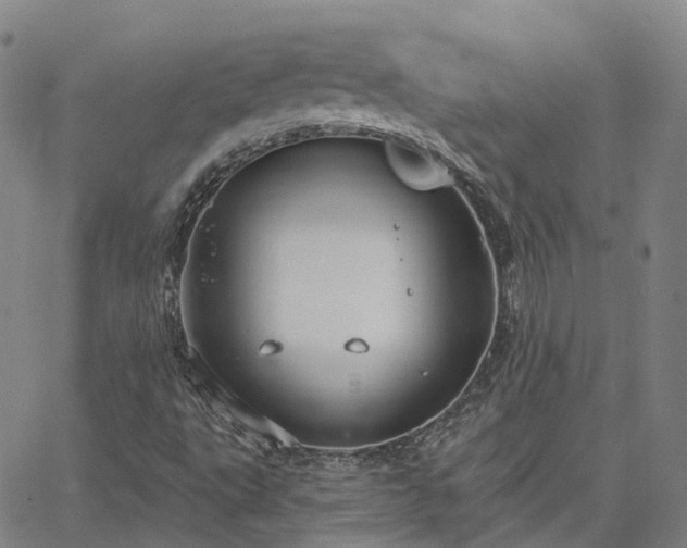 X0000063451495200601271526