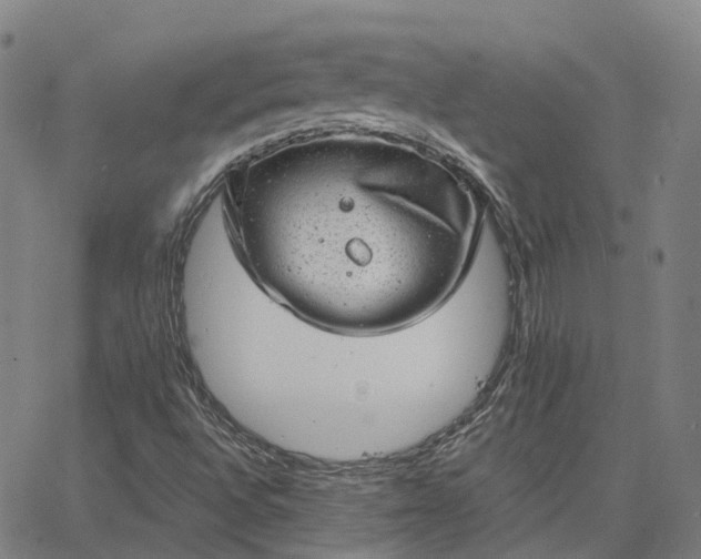 X0000063451496200601271526