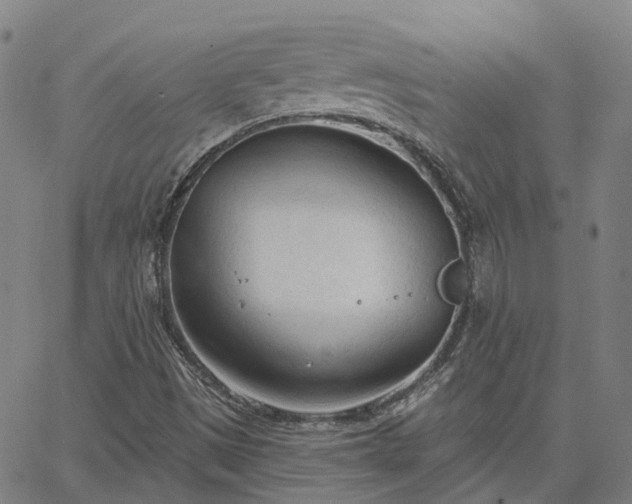 X0000063451497200601271526