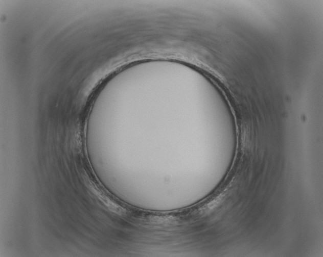 X0000063451498200601271526