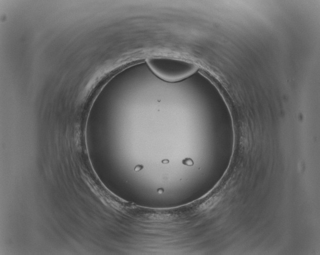 X0000063451499200601271526