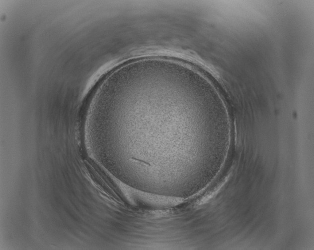 X0000063451501200601271526