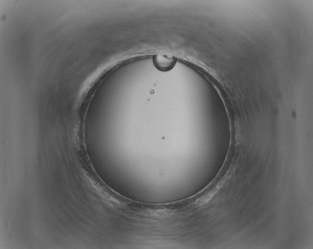 X0000063451502200601271526