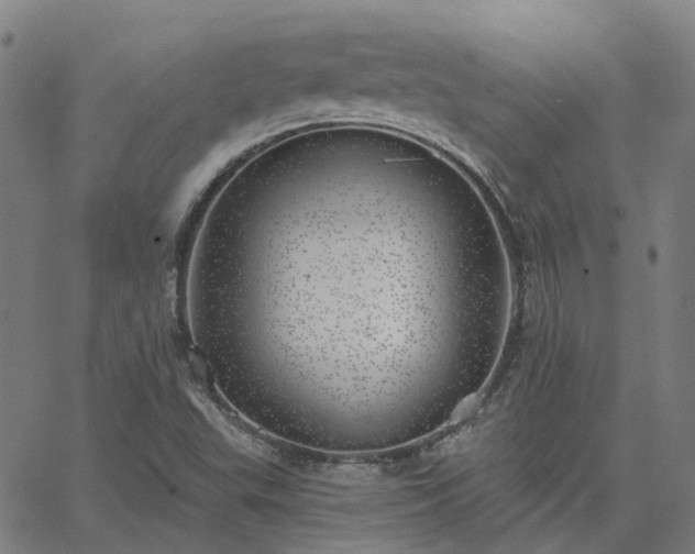 X0000063451503200601271526