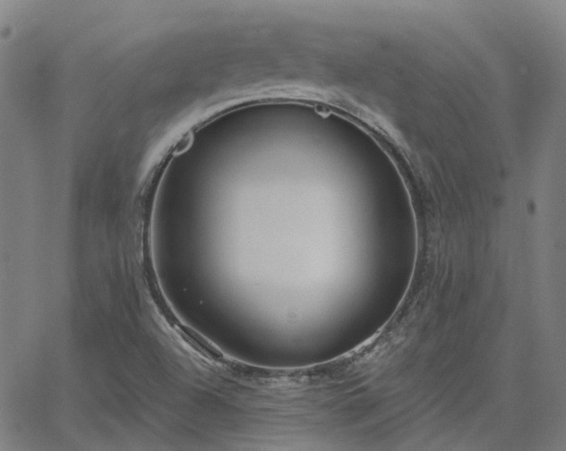 X0000063451504200601271526