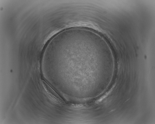 X0000063451505200601271526