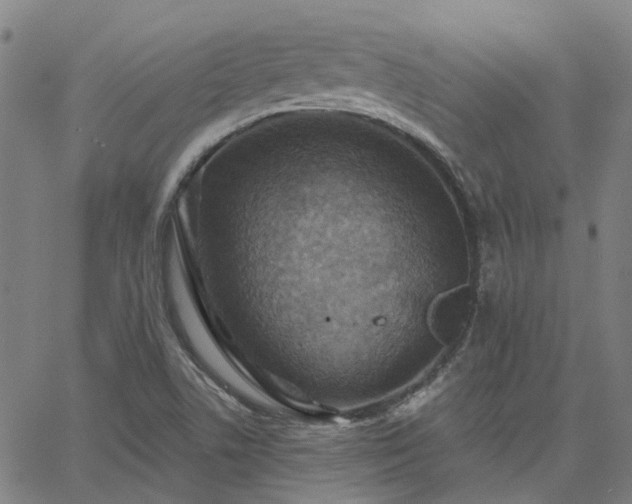 X0000063451506200601271526