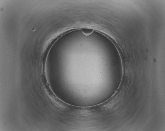 X0000063451507200601271526