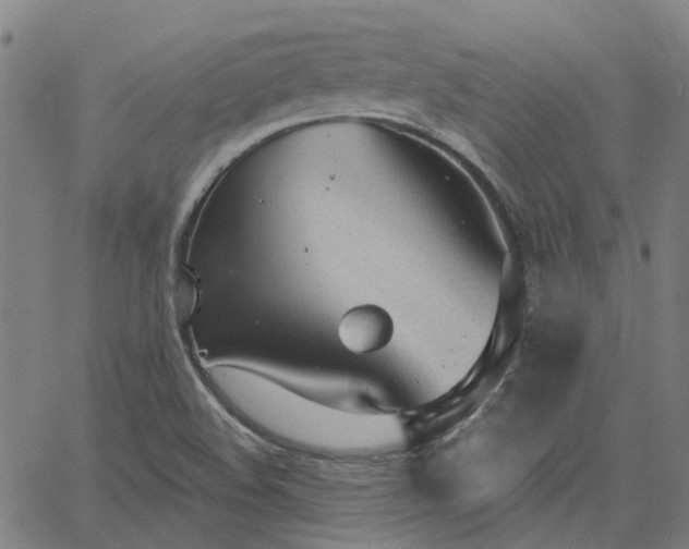 X0000063451508200601271526