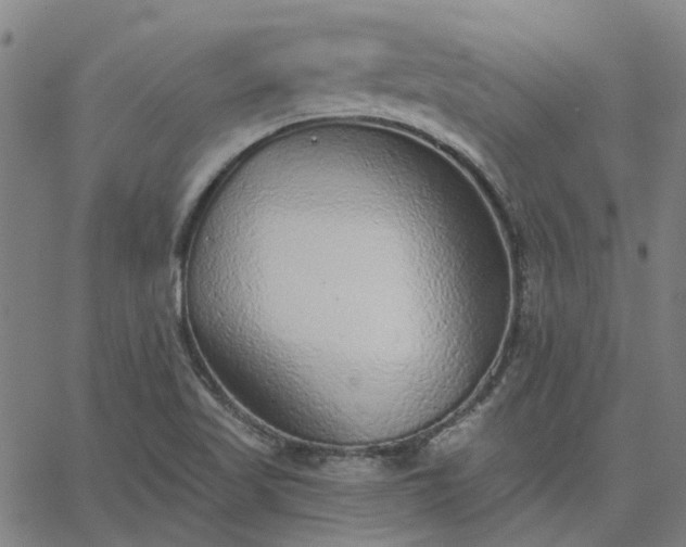 X0000063451509200601271526