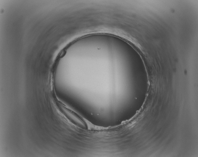 X0000063451510200601271526