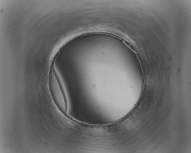 X0000063451512200601271526