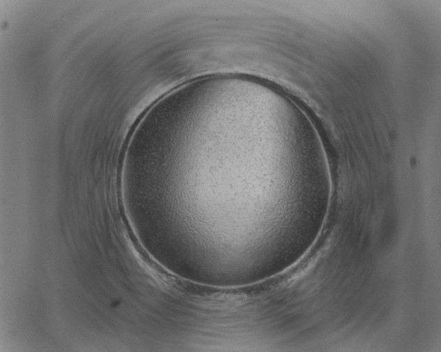 X0000063451513200601271526